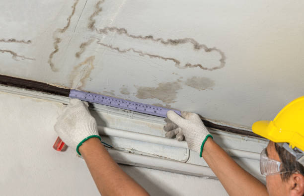 Reliable Structural Drying contractor in Waxahachie, TX by Water Damage Irwin